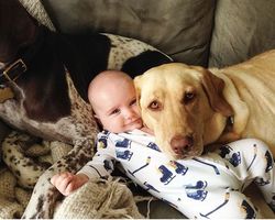 Селфи младенца с домашним псом
